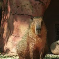 評論圖片 8