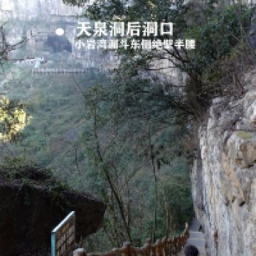 評論圖片 3