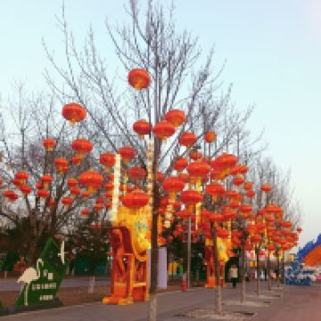 評論圖片 4