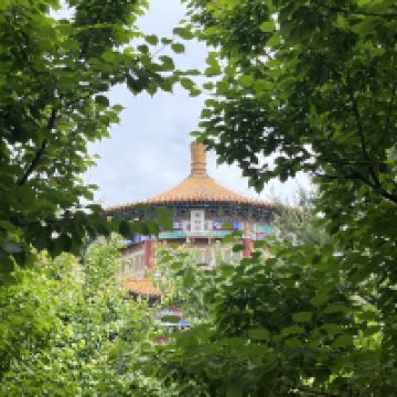 評論圖片 6
