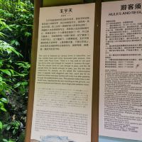 評論圖片 3