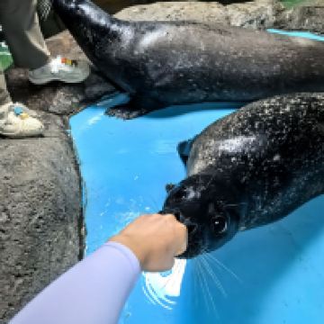 評論圖片 8