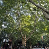 評論圖片 3