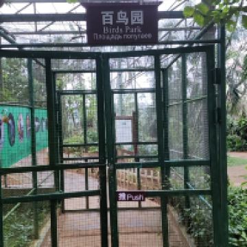 評論圖片 6