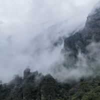 評論圖片 1