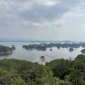 評論圖片 2