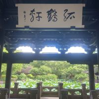 評論圖片 1