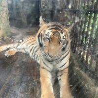 評論圖片 1