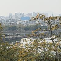 評論圖片 8