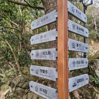 評論圖片 7