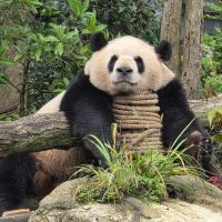 評論圖片 1