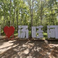 評論圖片 3