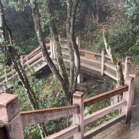 評論圖片 8