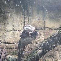 評論圖片 4