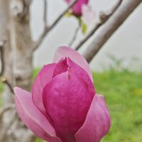 評論圖片 3