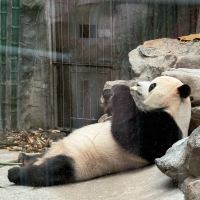 評論圖片 8
