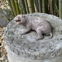 評論圖片 1