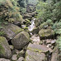 評論圖片 1
