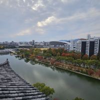 評論圖片 8