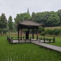 評論圖片 9