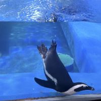 評論圖片 8
