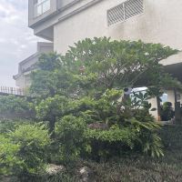評論圖片 3