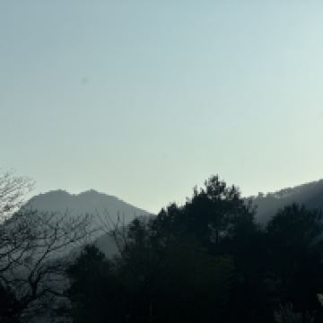 評論圖片 3