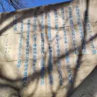 評論圖片 6