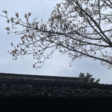 評論圖片 3