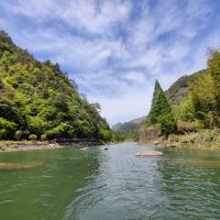 評論圖片 1
