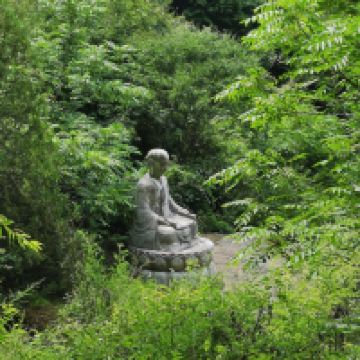 評論圖片 3