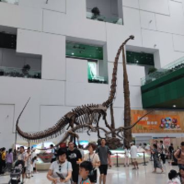 評論圖片 3
