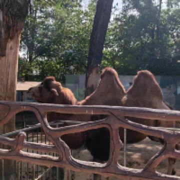 評論圖片 2