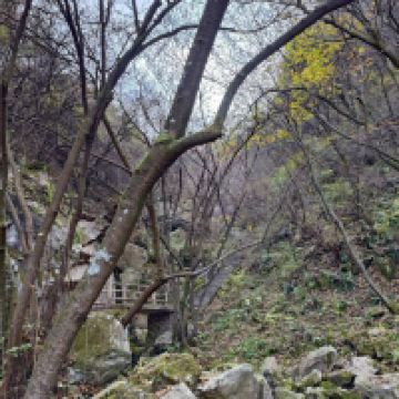 評論圖片 3