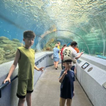 評論圖片 2