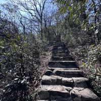 評論圖片 5