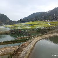 評論圖片 5