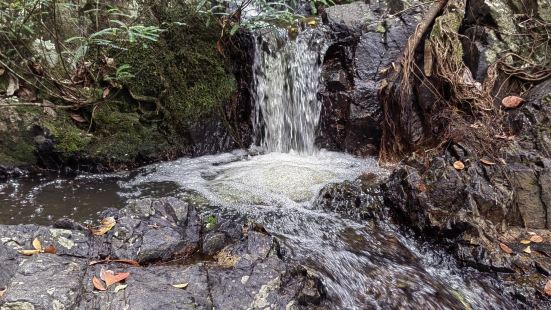 淡季遊覽，人少景美，穿行在熱帶雨林里，纜車上山，步行兩小時，