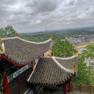 評論圖片 6