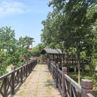 評論圖片 2