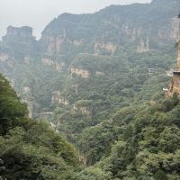 評論圖片 1