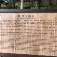 評論圖片 1