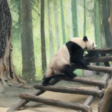 評論圖片 7