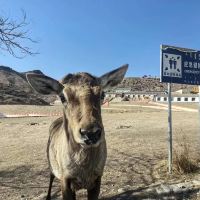 評論圖片 6