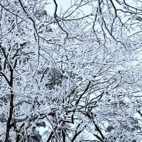 評論圖片 6