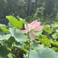 評論圖片 2