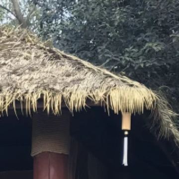 評論圖片 5