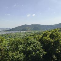 評論圖片 1