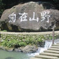 評論圖片 1
