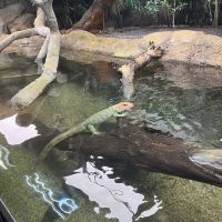 評論圖片 5